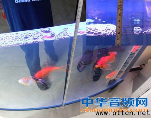�����_PD680���v�C��ˮ�y�u ���܏���ʰ�����x���h